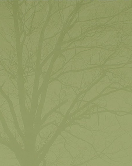 tree004005.jpg