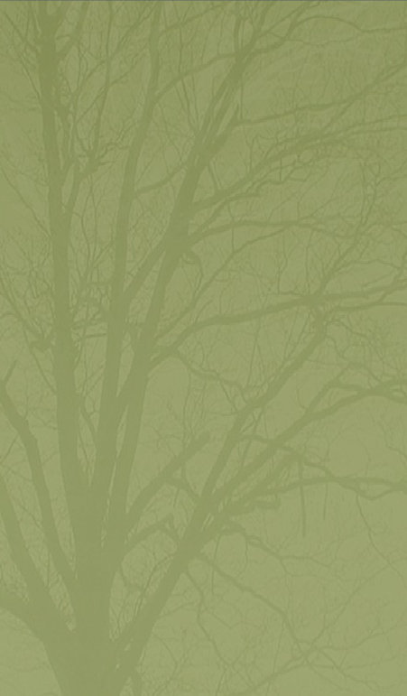 tree005024.jpg