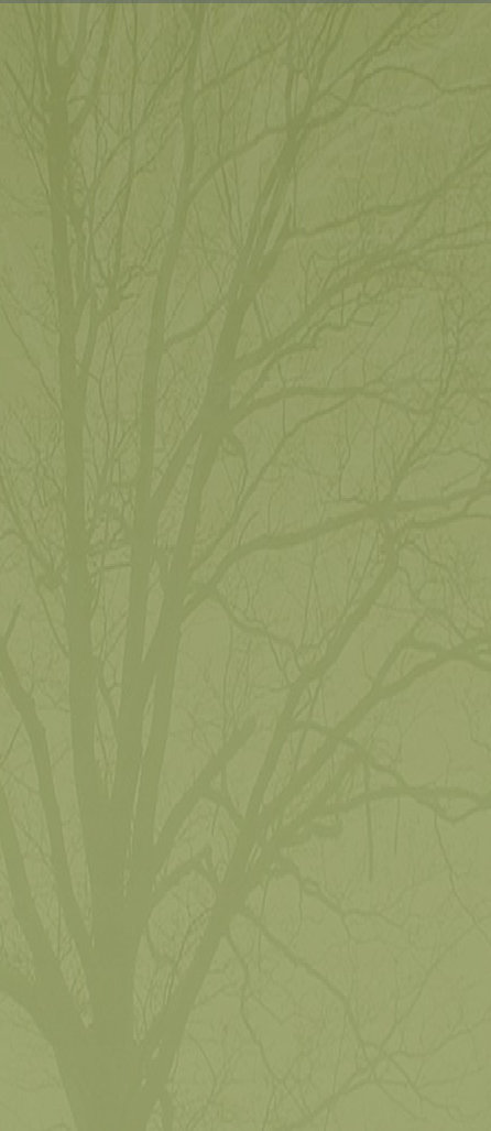 tree011011.jpg